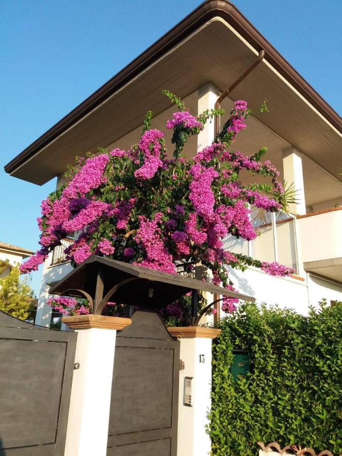 Manoppello La Bouganville Di Sante E Rosa المظهر الخارجي الصورة